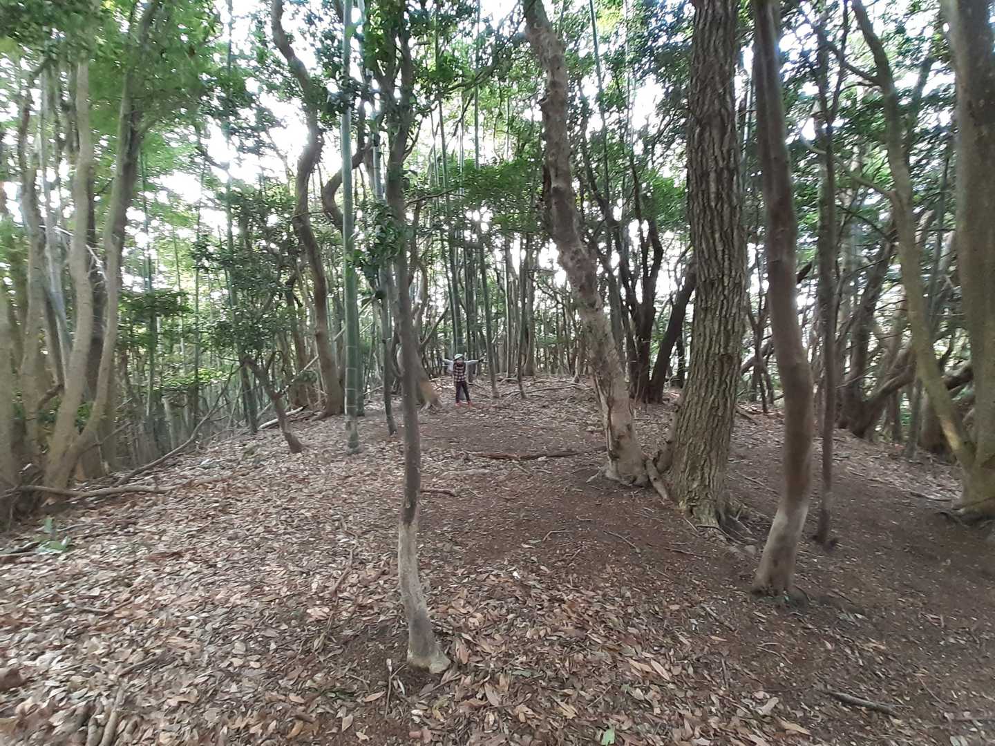 山頂は見事にキレイな広場🎵