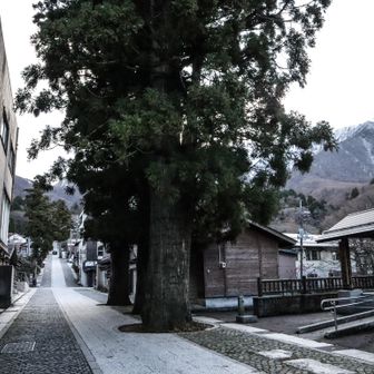 紅葉が終わり閑散としていた