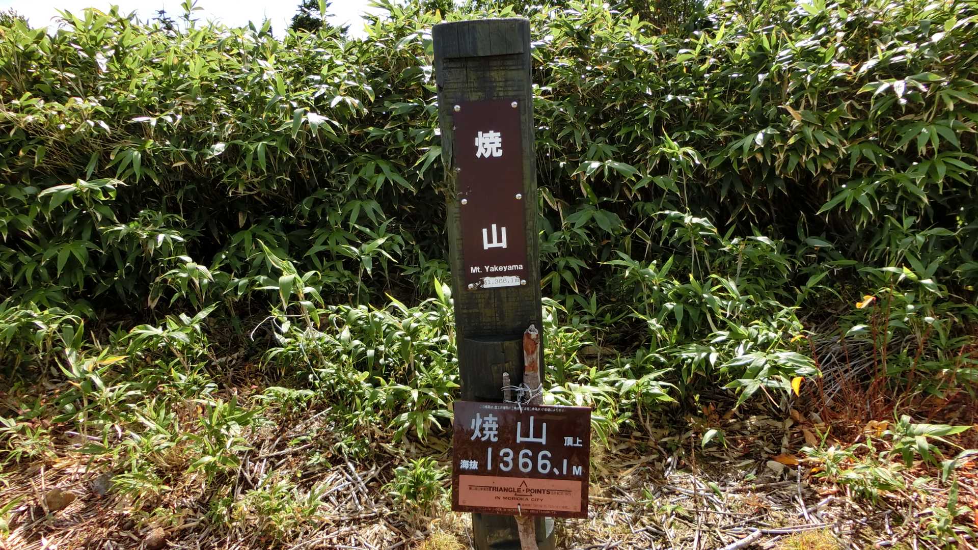 焼山に着きました！眺望はありません！即げざーん🤣