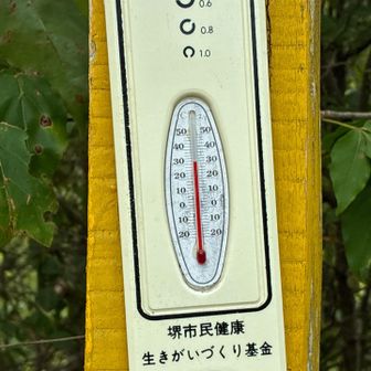 温度計🌡️では３０° 暑かった🥵