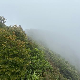 少しだけ雲が切れてました