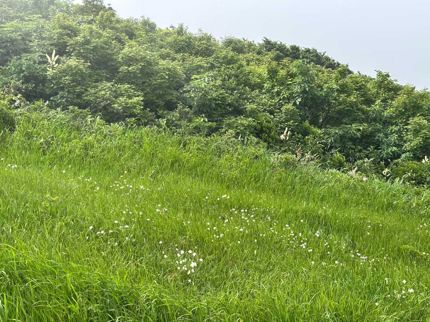 きゃー、きゃー🤍ってなりました🤍
