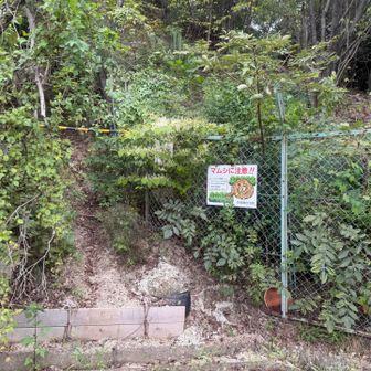 ここから出て
一旦住宅街を歩きます🚶