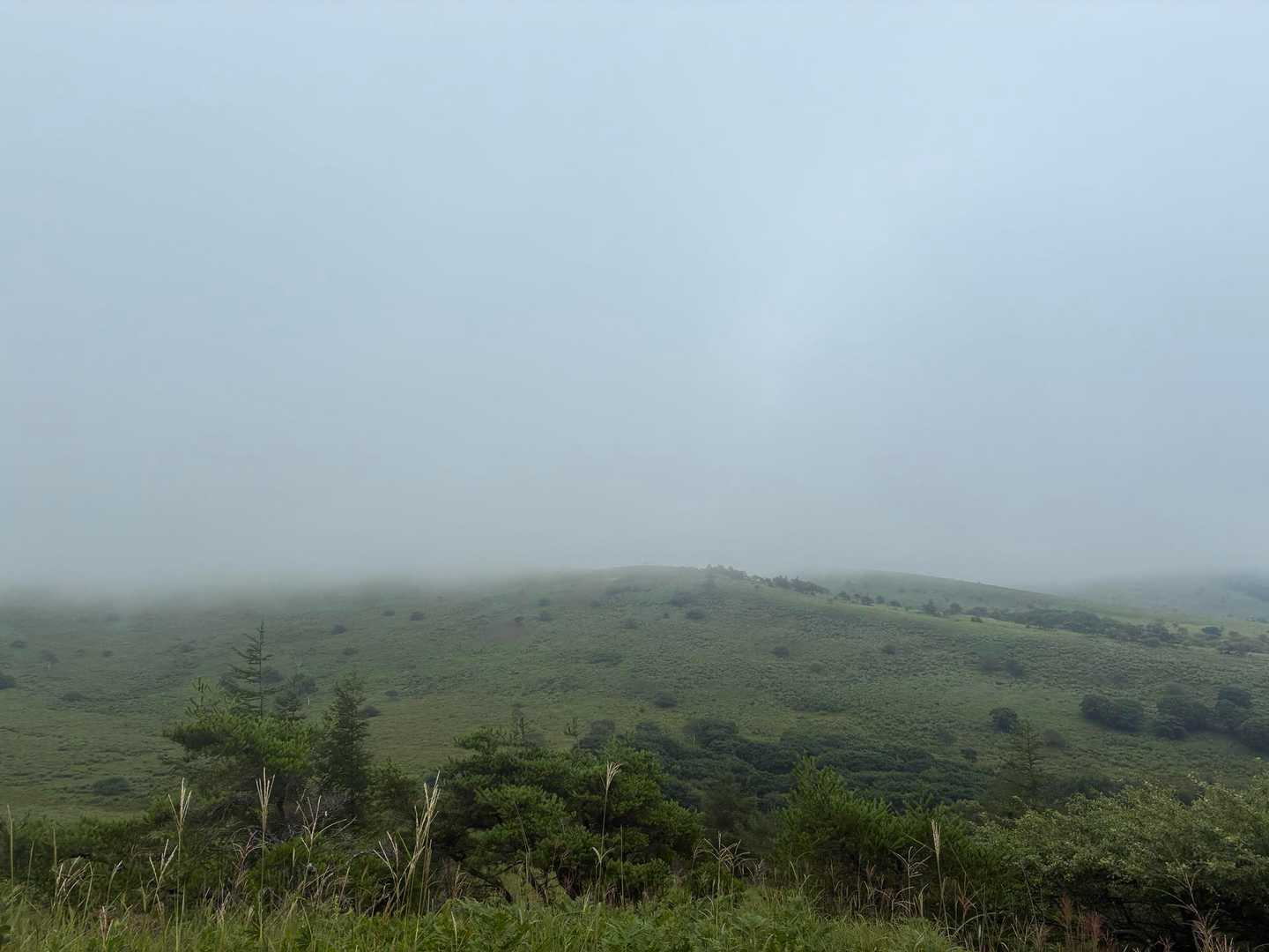 さすが霧ヶ峰…