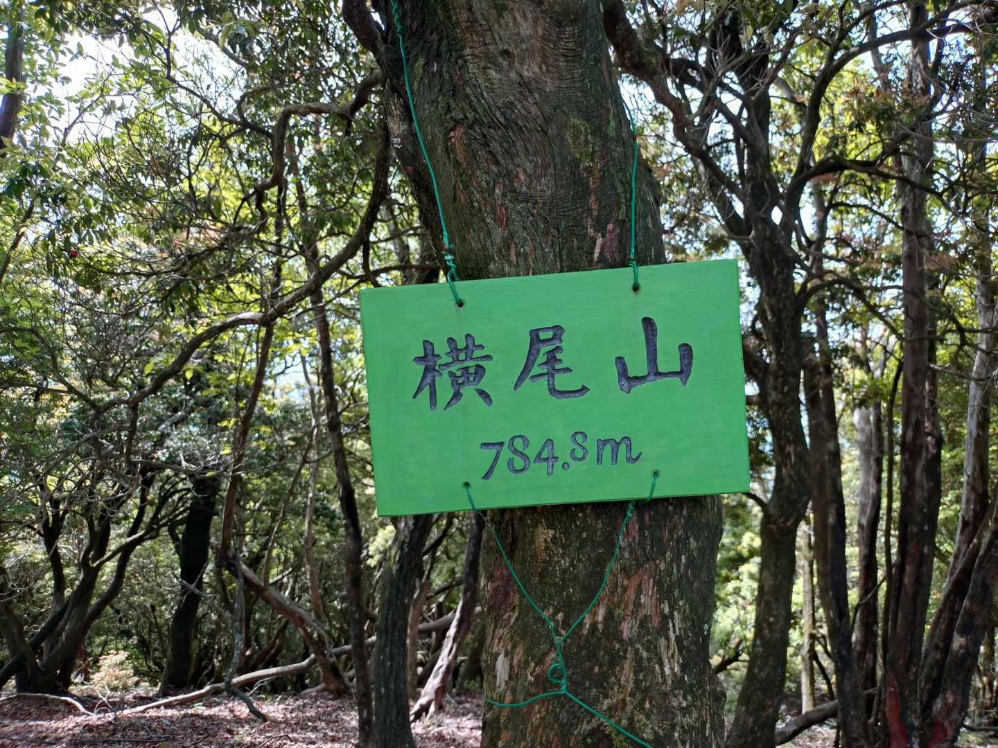 剣尾山・横尾山・行者山 縦走ルートの写真