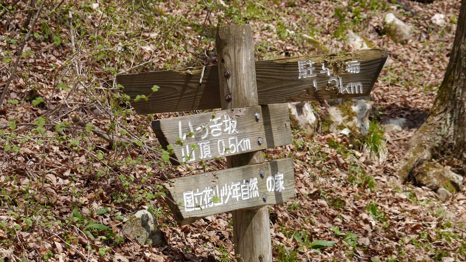 地味に登る道を歩くと、おそらく里山あるあるの山頂直下激登りであろう標識が…
いっき坂…
いっきには行けないでしょうね
ゆっくり行きますが、ヤマップの地図を見て、この分岐まで15分で行けたらいいねって、目標つけながら歩きました