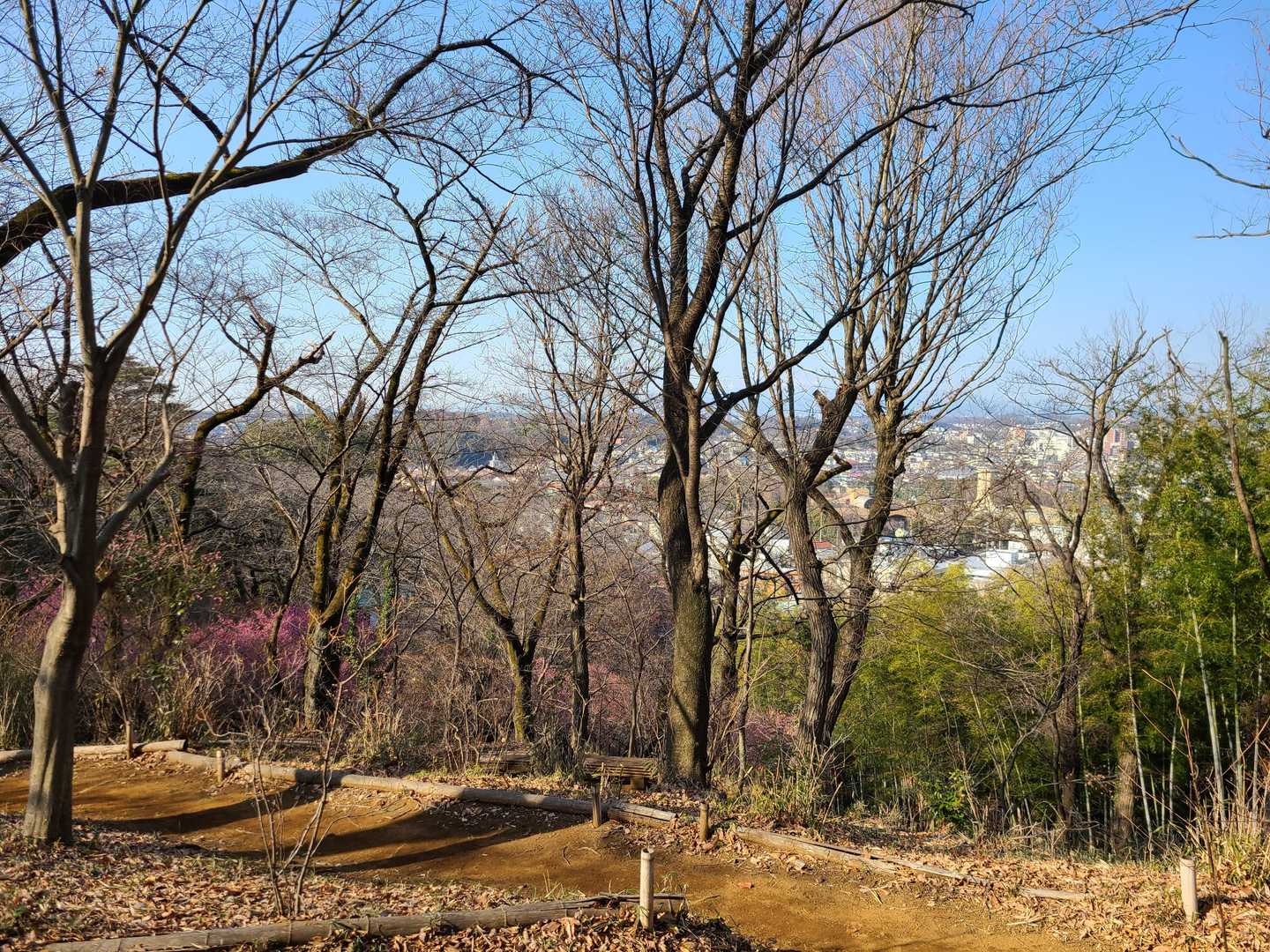 今度こそ、おっ越し山山頂ですね🎵