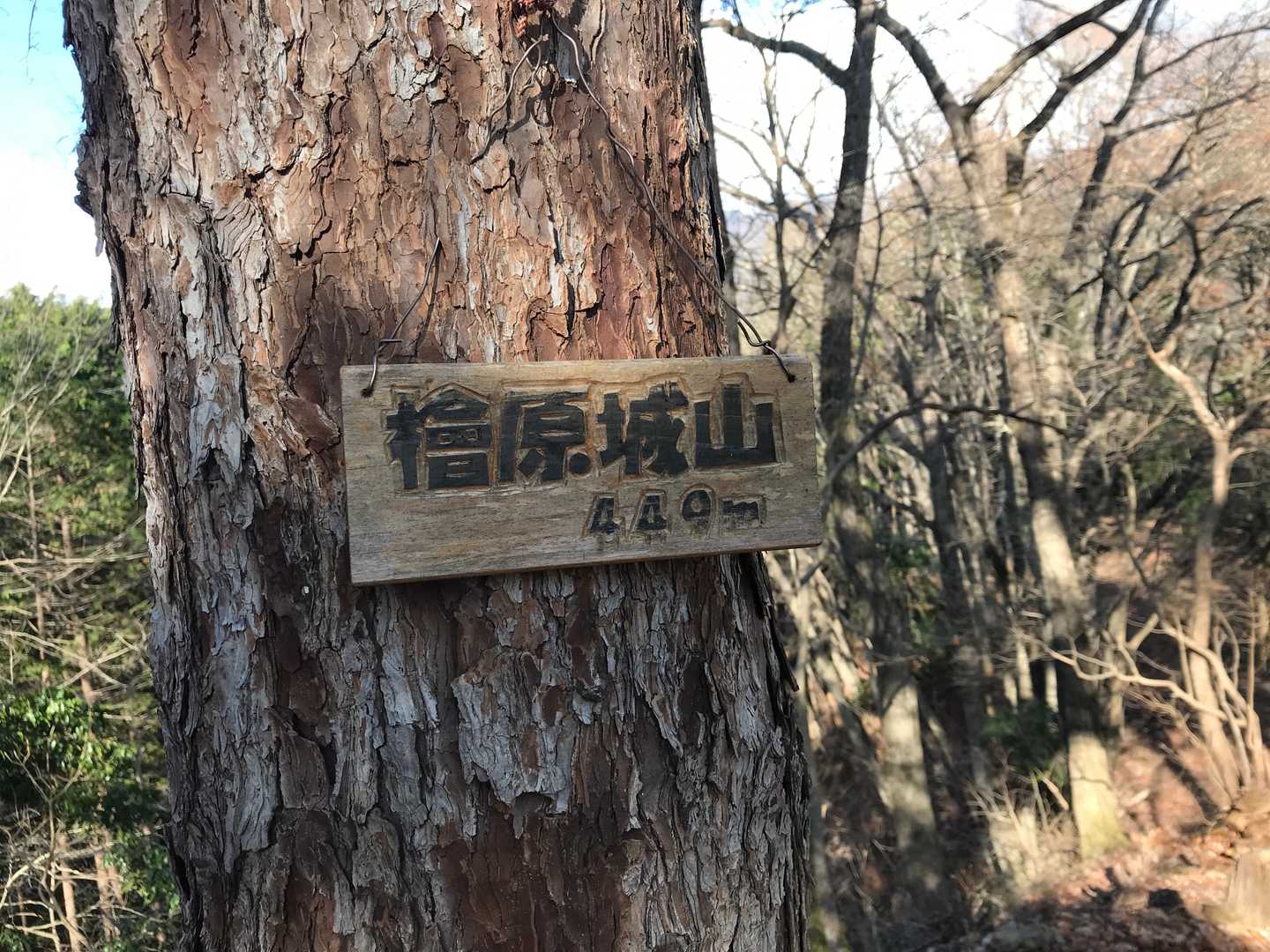 檜原城跡からちょい登ると山頂。