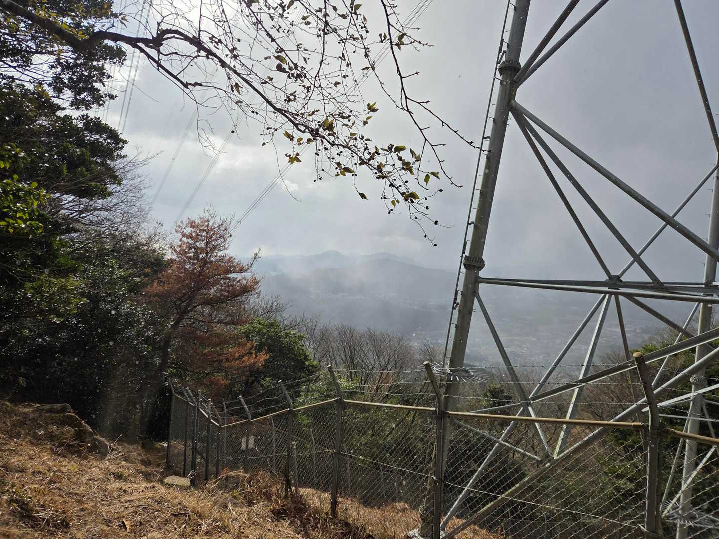 雪降りだした☃️