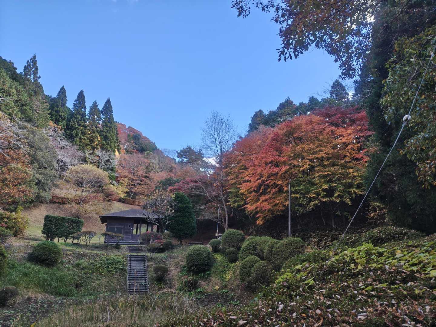 きれいな公園