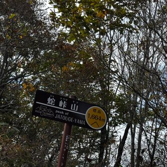 山頂。眺望なし。倒れそうな展望台跡がありました