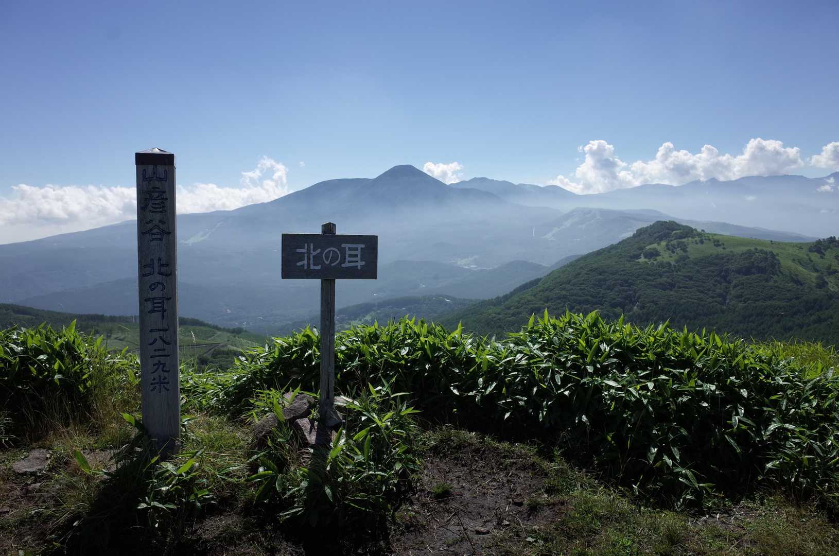 八島湿原バス停-八島湿原入口-男女倉山-南の耳-車山乗越- 周回コースの写真