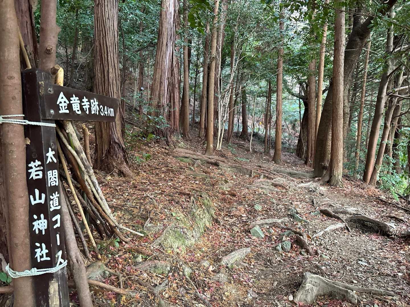 磐手橋バス停-若山-若山神社 縦走コースの写真