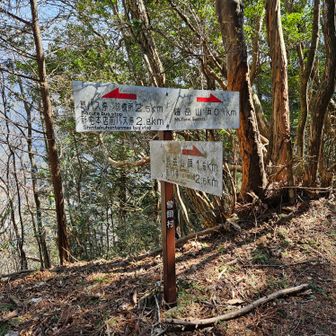 ピストンで戻られるMahalo ♪さんとは鎧岳山頂でお別れ👋
お気をつけて～🥰