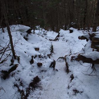 帰路も歩きやすい✨️