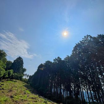 て
無駄に開けた
無駄じゃないんか知らんけど
あーちー