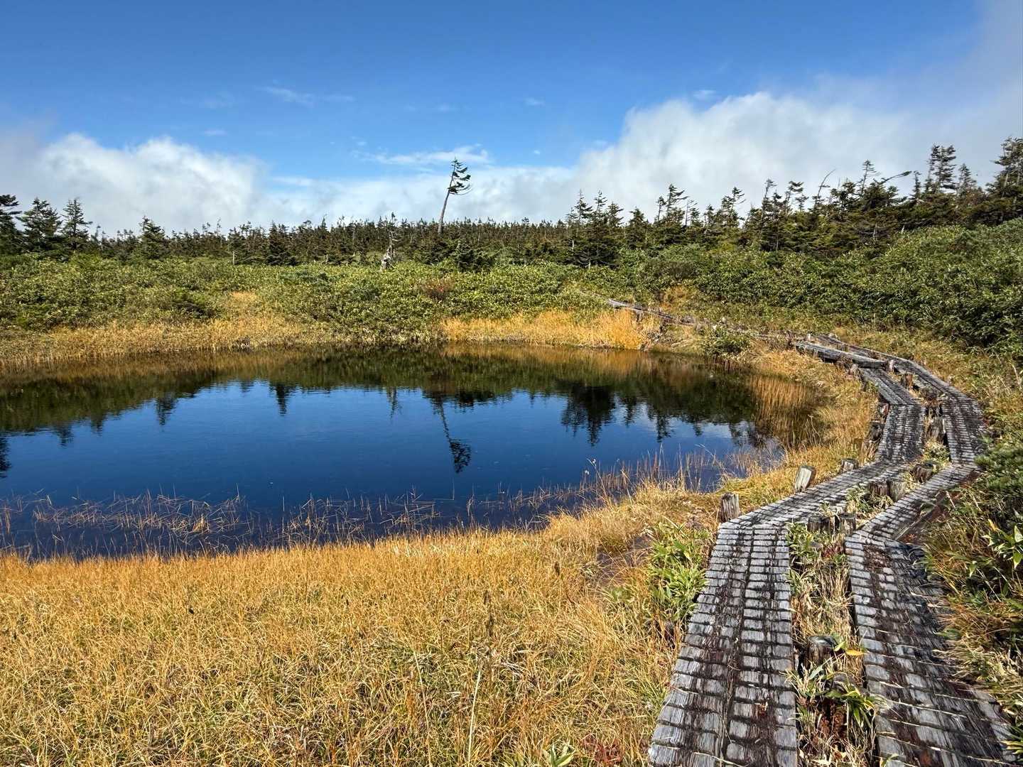 八幡平登山口-めがね沼-八幡平-源太森-見返峠 周回コースの写真