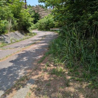 この先の下りは、一気に駆けおりちゃアカン！
(やっちゃいガチ笑)
今日は…登り返しました😱