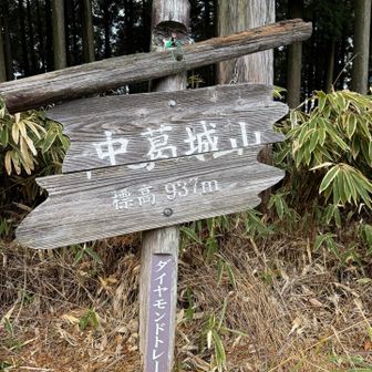 真一文字に刀で斬られたんですか😂