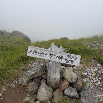 一心不乱にザラ峠
明日ココ登り返しか⤵️