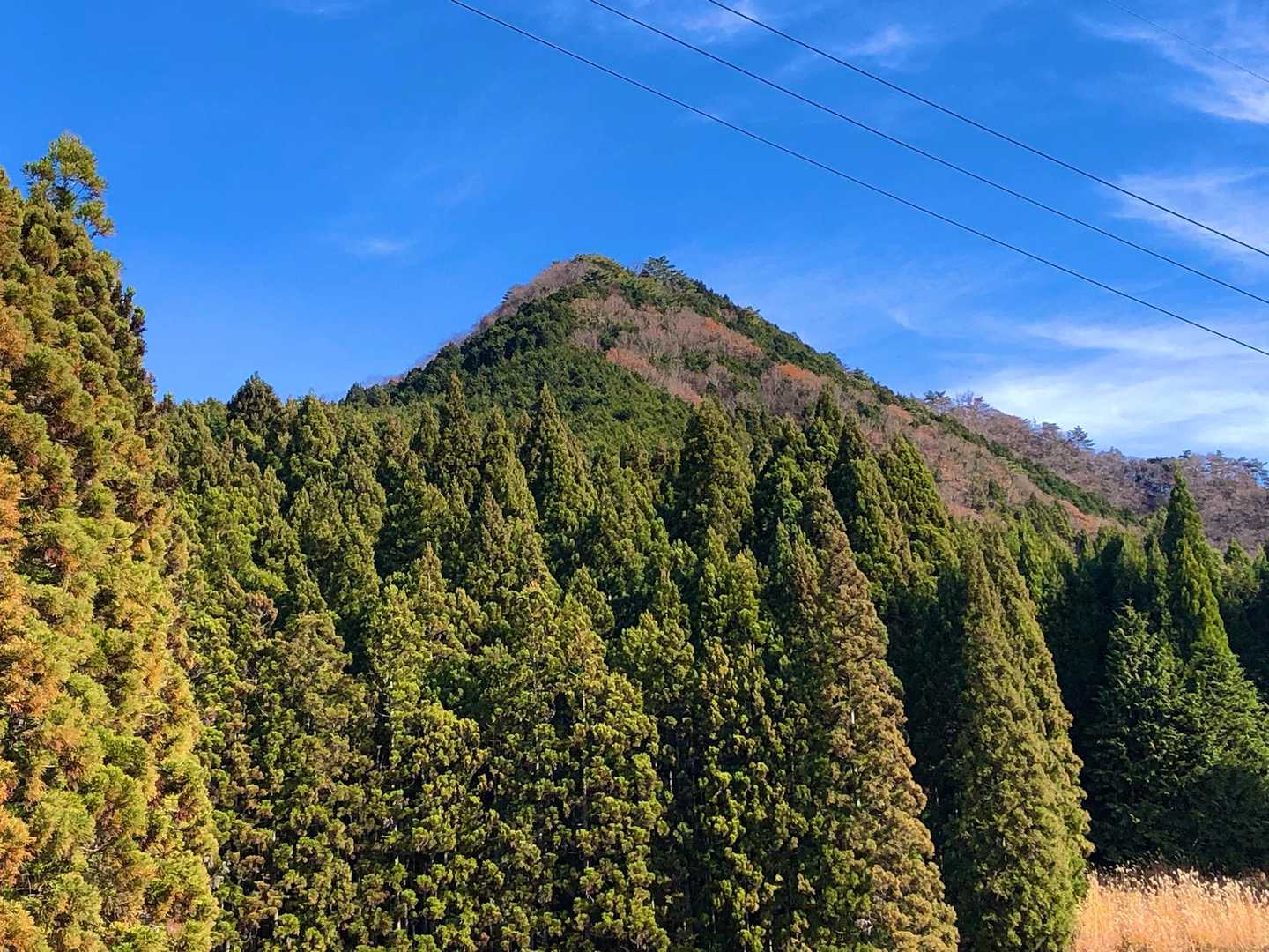 山道を下り切り 舗装路を歩いてると方向的に 三郎ヶ岳かなと思う山容が目に入りました⛰️