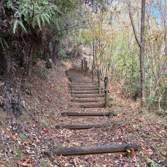 一般道を歩いて、大草山に取り付く