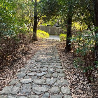 舗装道路に出ます