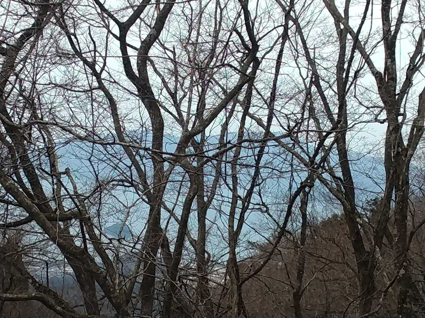 飯盛山 往復コースの写真