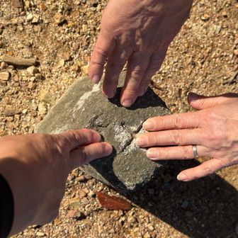 一色権現山の三角点