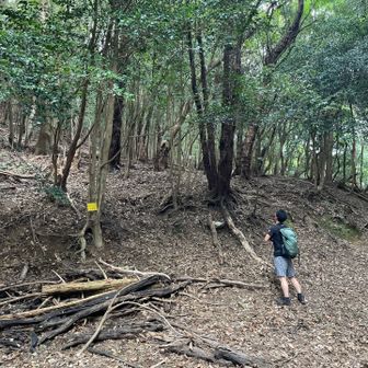 逢坂峠