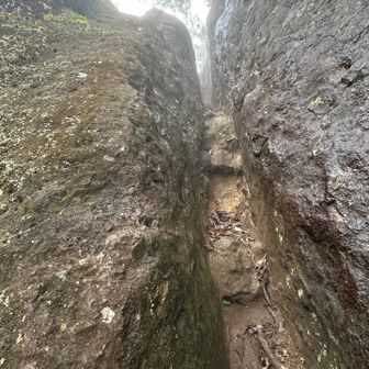 これがなかなか克服出来ない
隙間が中途半端で登山靴の置き場所、手や体の向きいろいろ試すがずれ落ちする事多く、結局後ろ向きに突っ張りながらやっと登れた💦
