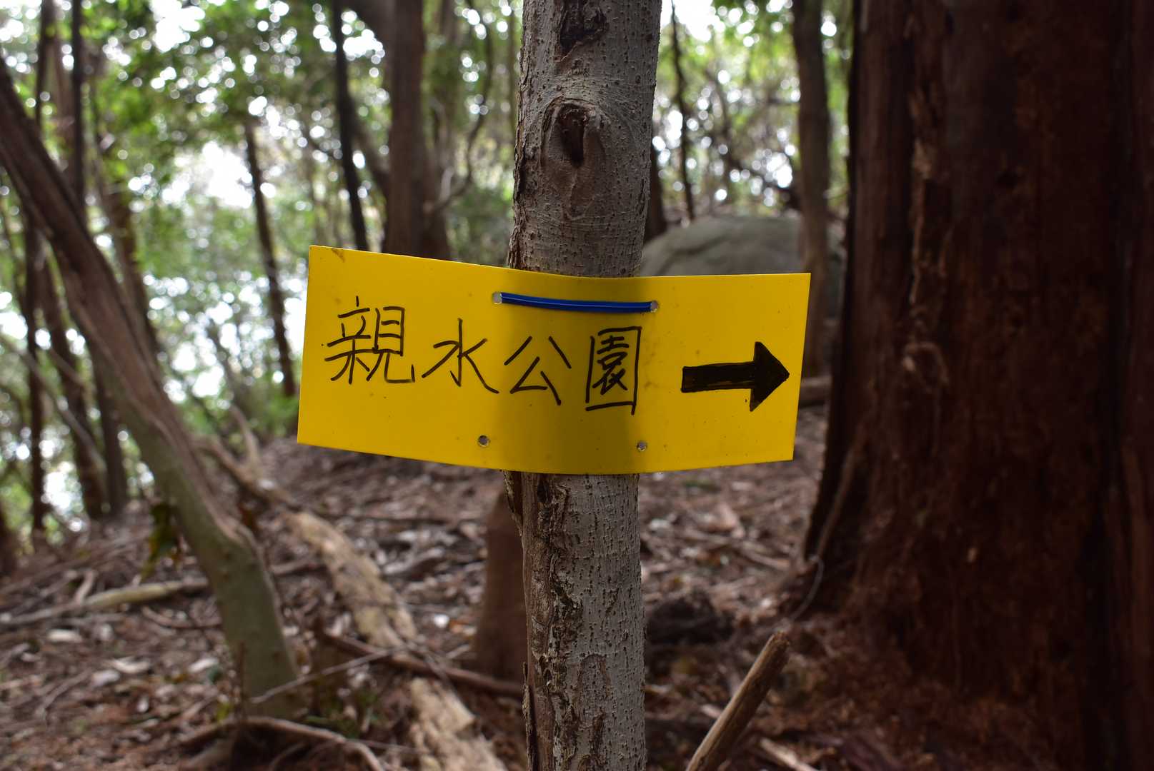 親水公園？、何処か分かりません（あとで調べたら曽根田川親水公園のようです）今度歩いてみよう！