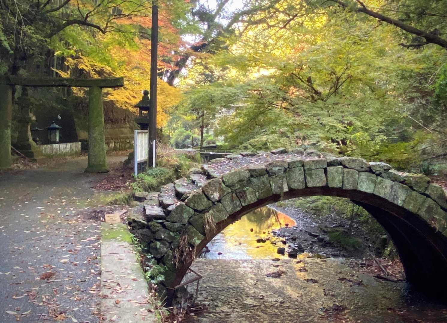 いい感じ