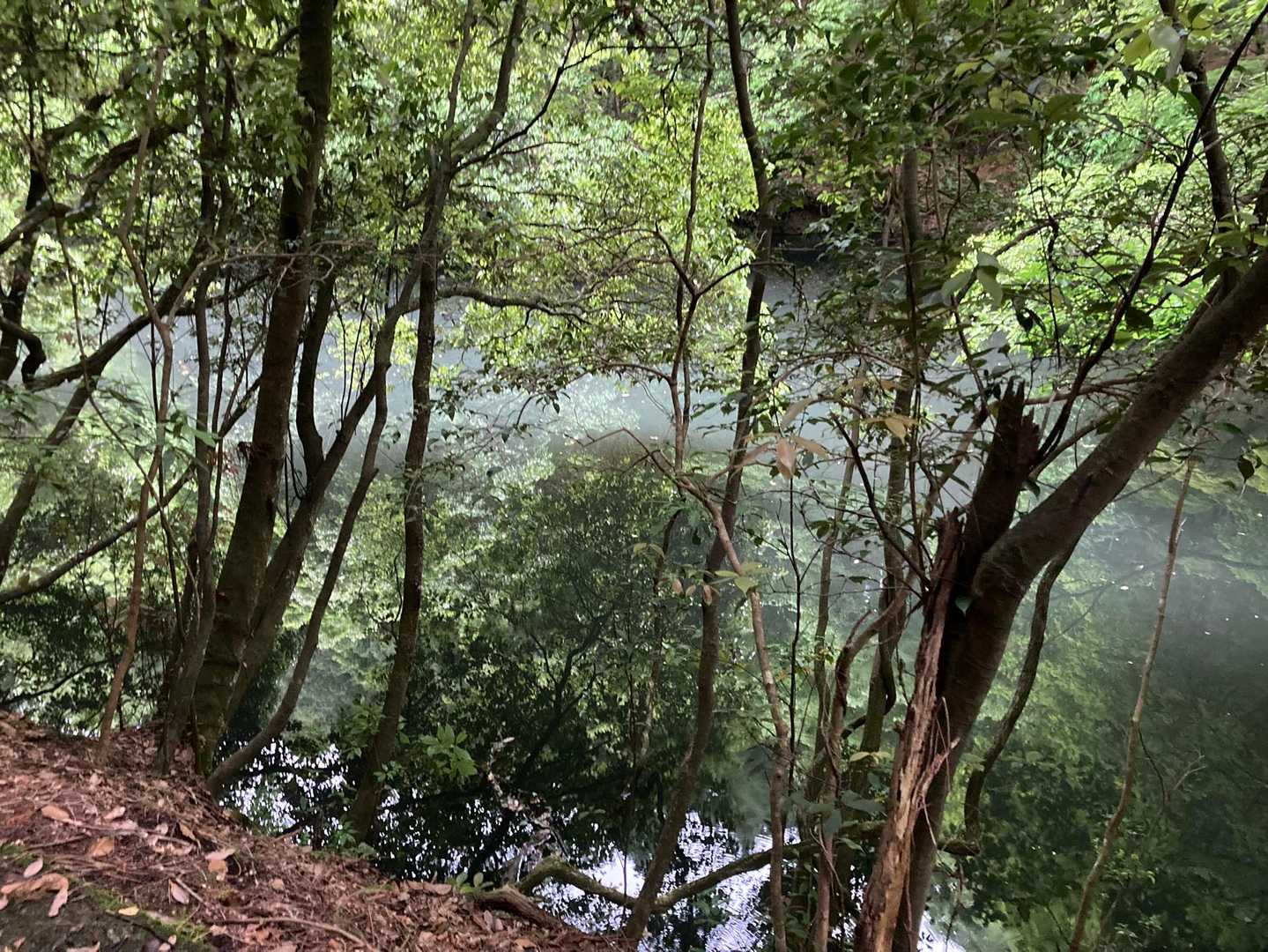射山神社・貝石山 往復コースの写真