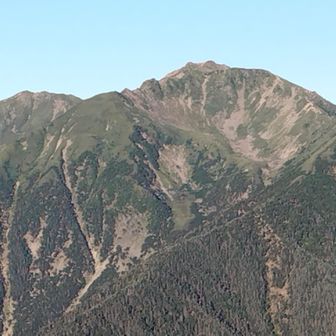 あらためてアサヨ峰から仙丈ケ岳

冬の地蔵尾根からしか登ったことがない
雪が無いの見るの初めて

優美で緩やかな山容から「南アルプスの女王」と呼ばれてるけど、地蔵尾根経由で登る分には「女王様とお呼びっ！」なドＳ感しかない