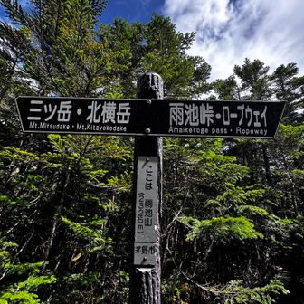 6ピークめ
ラストのピーク 雨池山
眺望なし