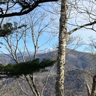 おー！新冠富士とイドンナップ🏔️