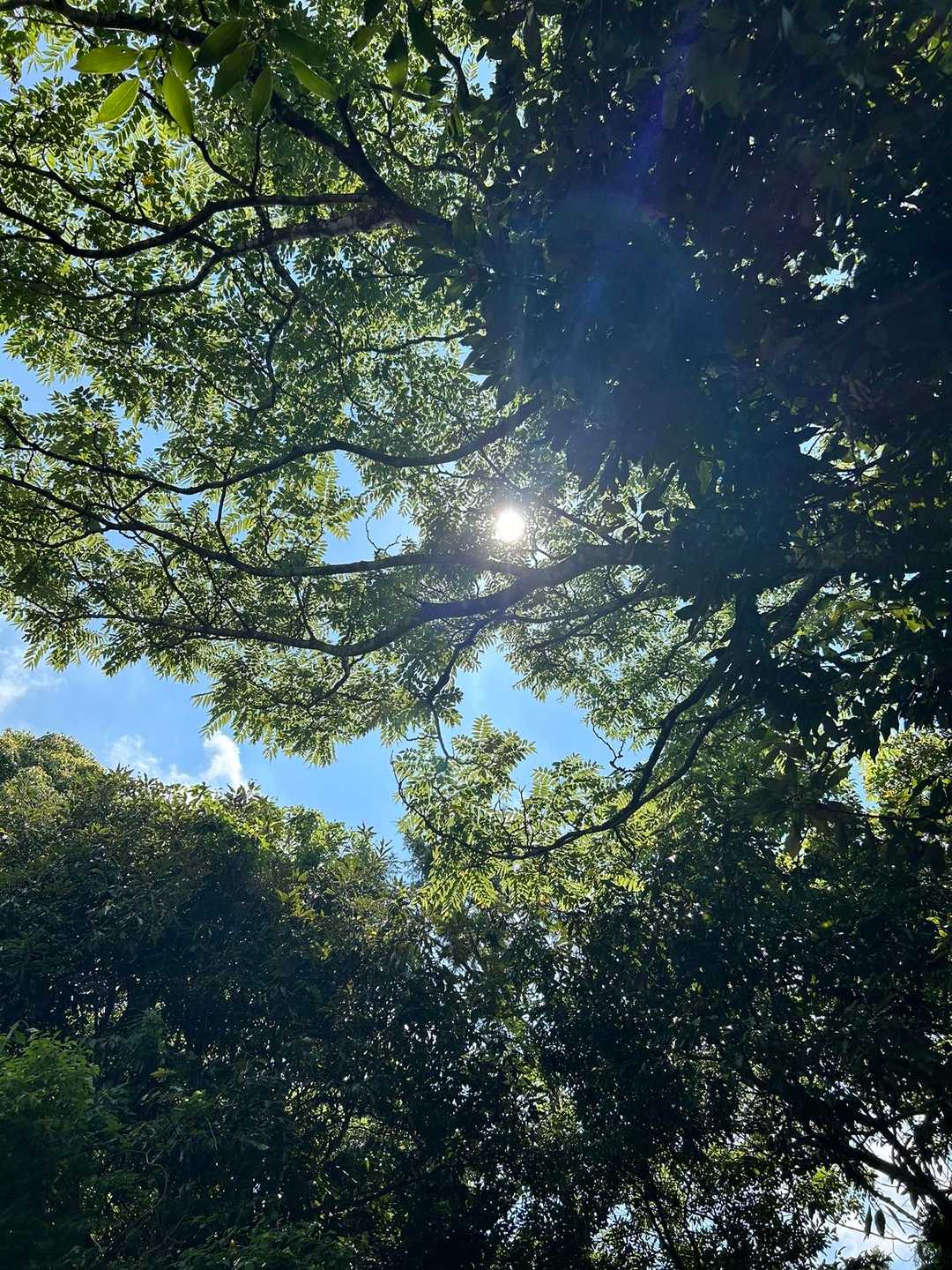 今日もいい天気