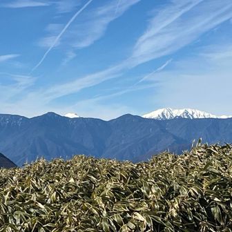 チョコンと聖岳
雪を纏って美しさ倍増し