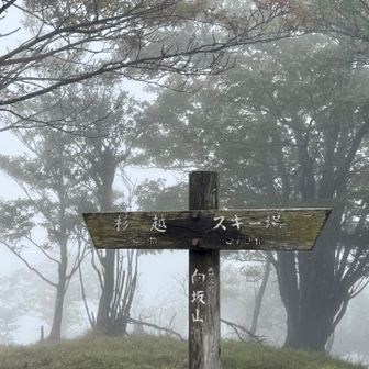 ここも真っ白
今日は、九州脊梁にしては、すれ違った登山者も多かった