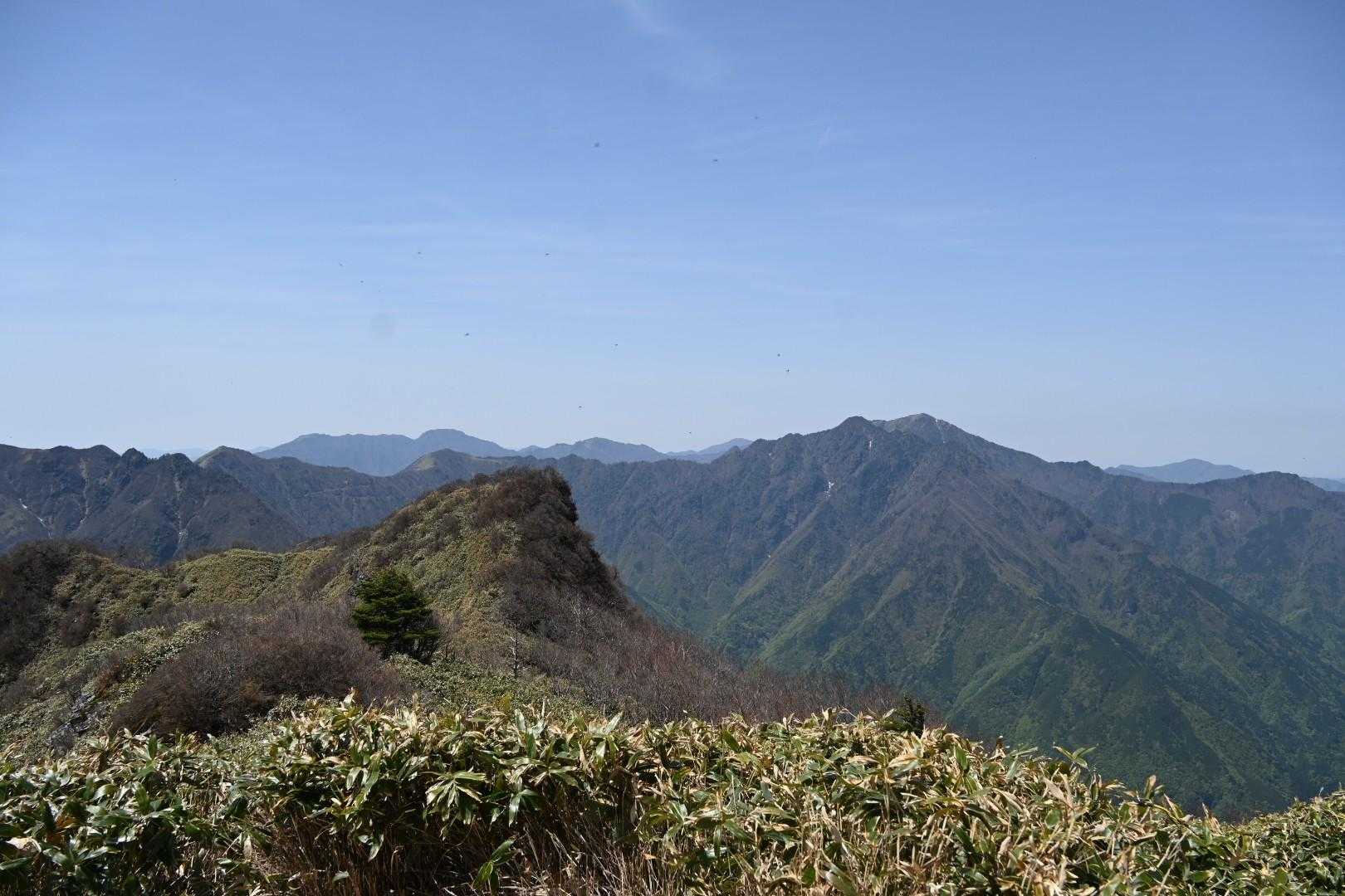 旧寒風山トンネル南口-桑瀬峠-寒風山-笹ヶ峰-笹ヶ峰南登山 縦走コースの写真