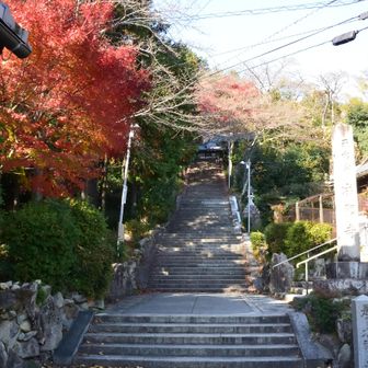 740段といわれる石段を駆け下りました。