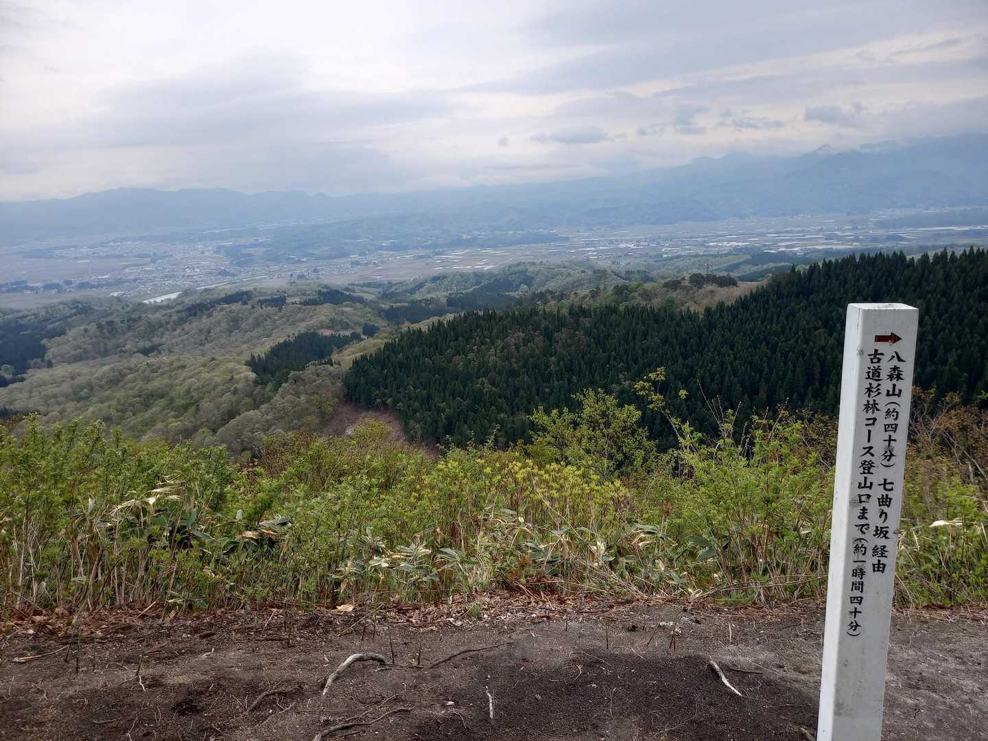 大高根山 周回コースの写真