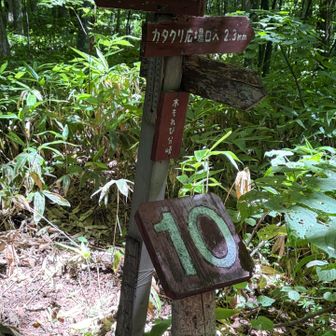 途中分岐での看板
