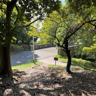 　はづみ橋に到着です。
手前を下り橋の下を潜って「かきつばた園」に向かいます。