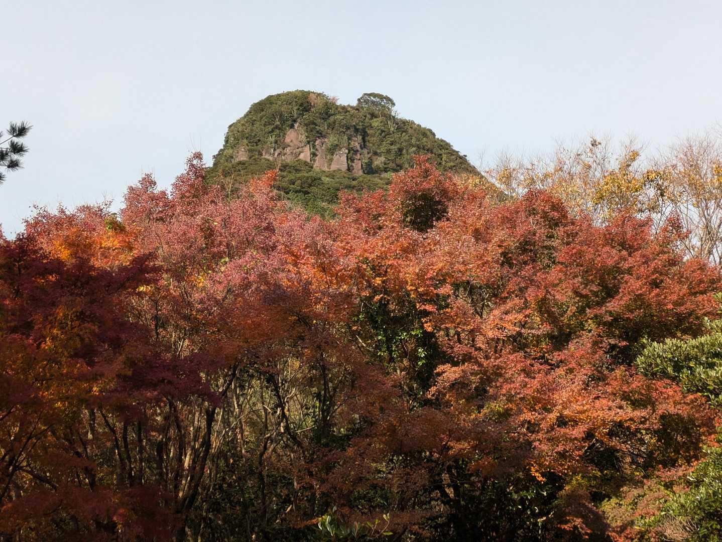 紅葉🍁と冠岳⛰️