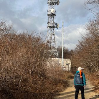 ここから右が山頂