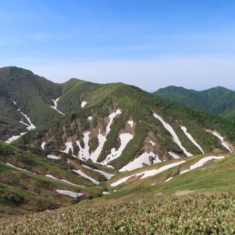 ゼブラ模様がステキ🤍

左が川棚ノ頭、右奥の左ピークが小出俣山