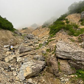 雨がポツポツと☂️