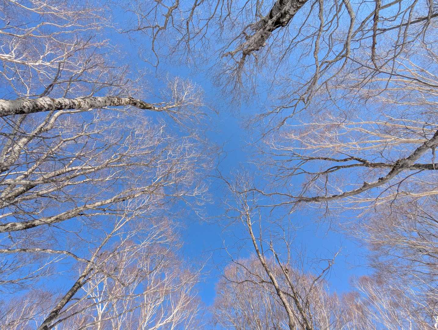 美しい森と北信ブルーが気持ち良くて、
自然と笑みが溢れる。